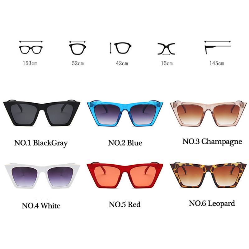 Retro Outdoor Sunglasses